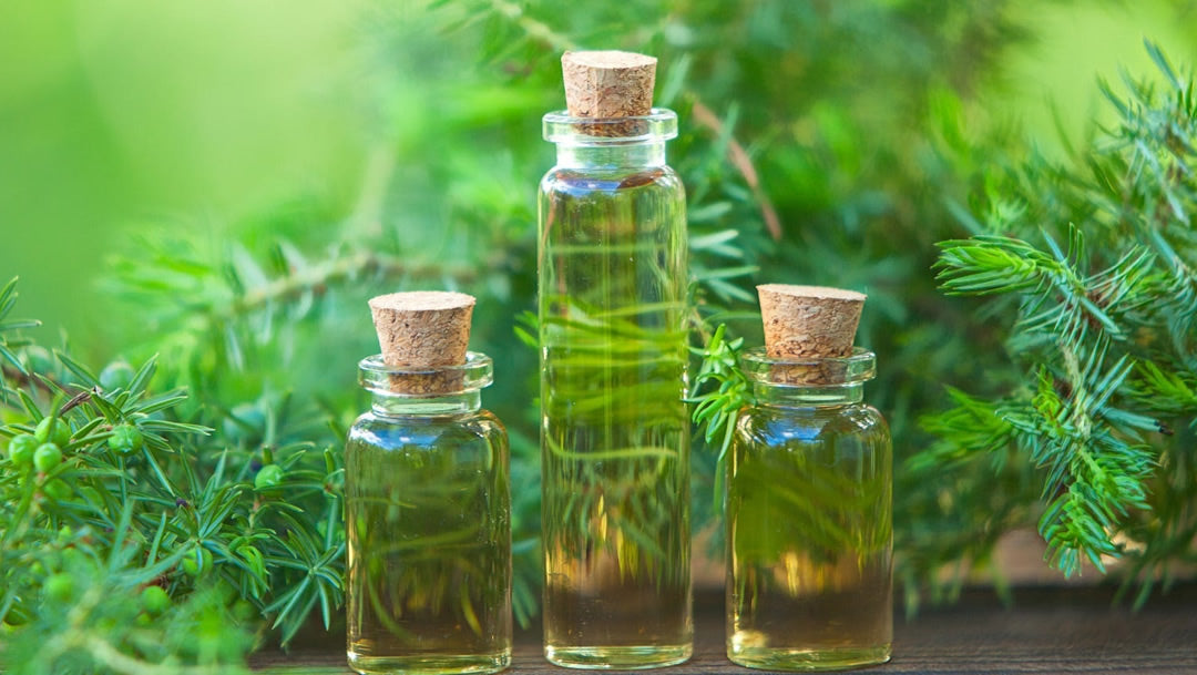 Tea Tree Oil Health Products
