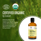 Organic Tea Tree Oil | 100ml