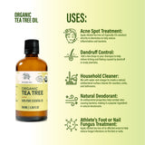 Organic Tea Tree Oil | 100ml