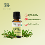 Organic Tea Tree Oil | 20ml