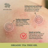 Organic Tea Tree Oil | 10ml