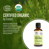 Organic Tea Tree Oil | 50ml