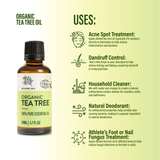 Organic Tea Tree Oil | 50ml