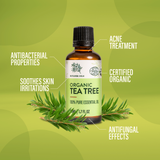 Organic Tea Tree Oil | 50ml