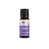 Organic Lavandin Oil | 10ml
