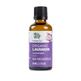 Organic Lavandin Oil | 50ml